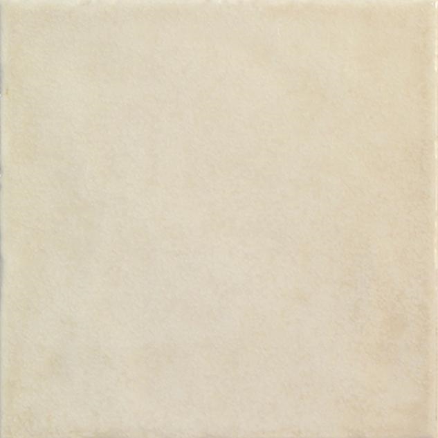 Stucco Arena 20X20