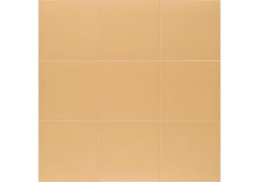 Tech-Tangerine 20X20