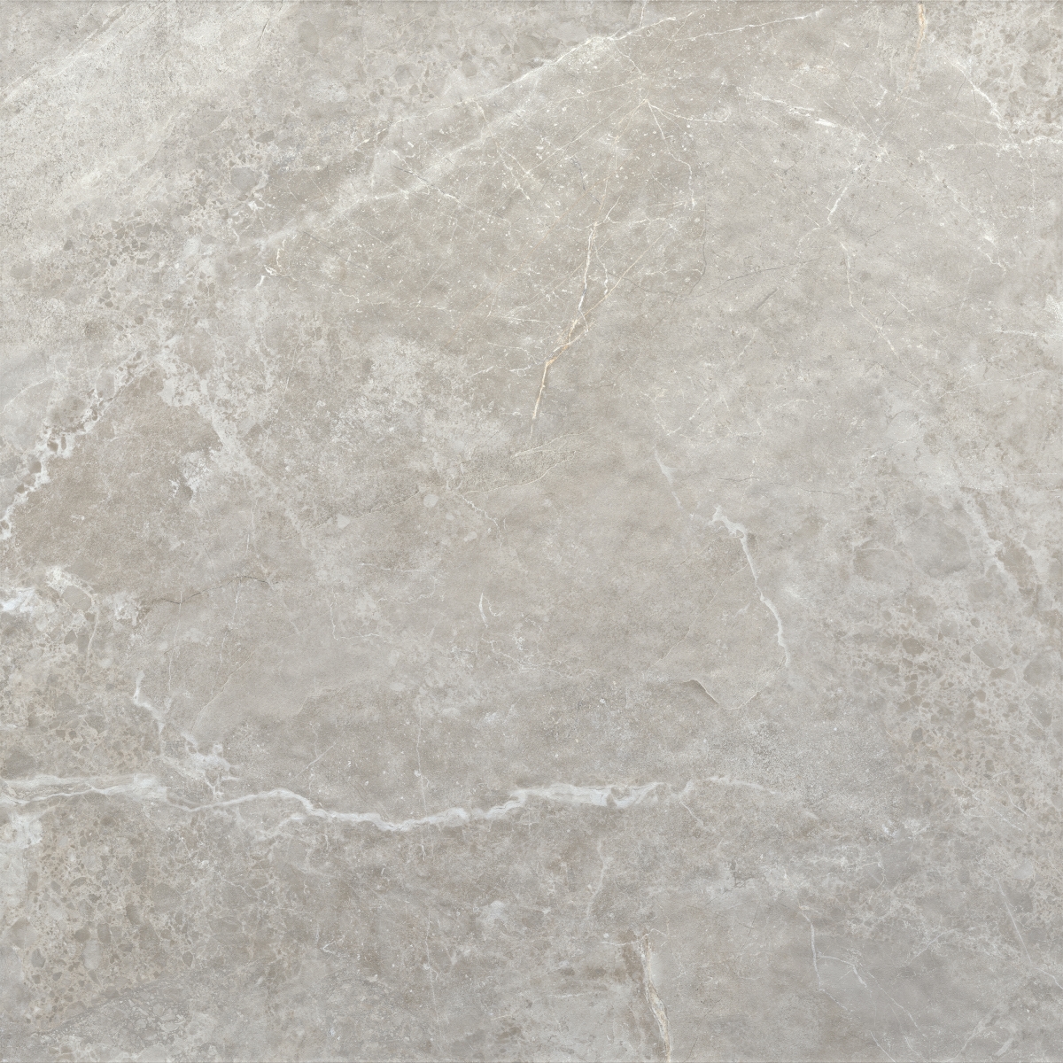 Tenby Grey  120X120