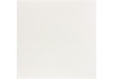 Tess Slonová Kost 45 X 45