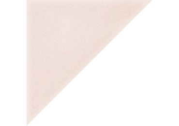 The Rosa 20x20