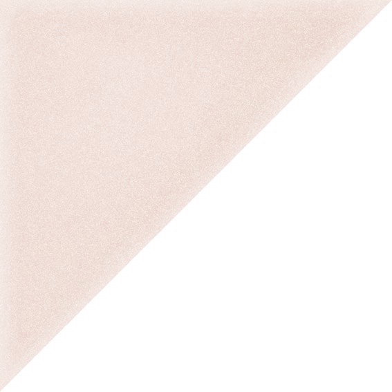 The Rosa 20x20