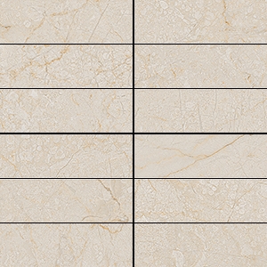 Tight Mosaic Dune   30X30