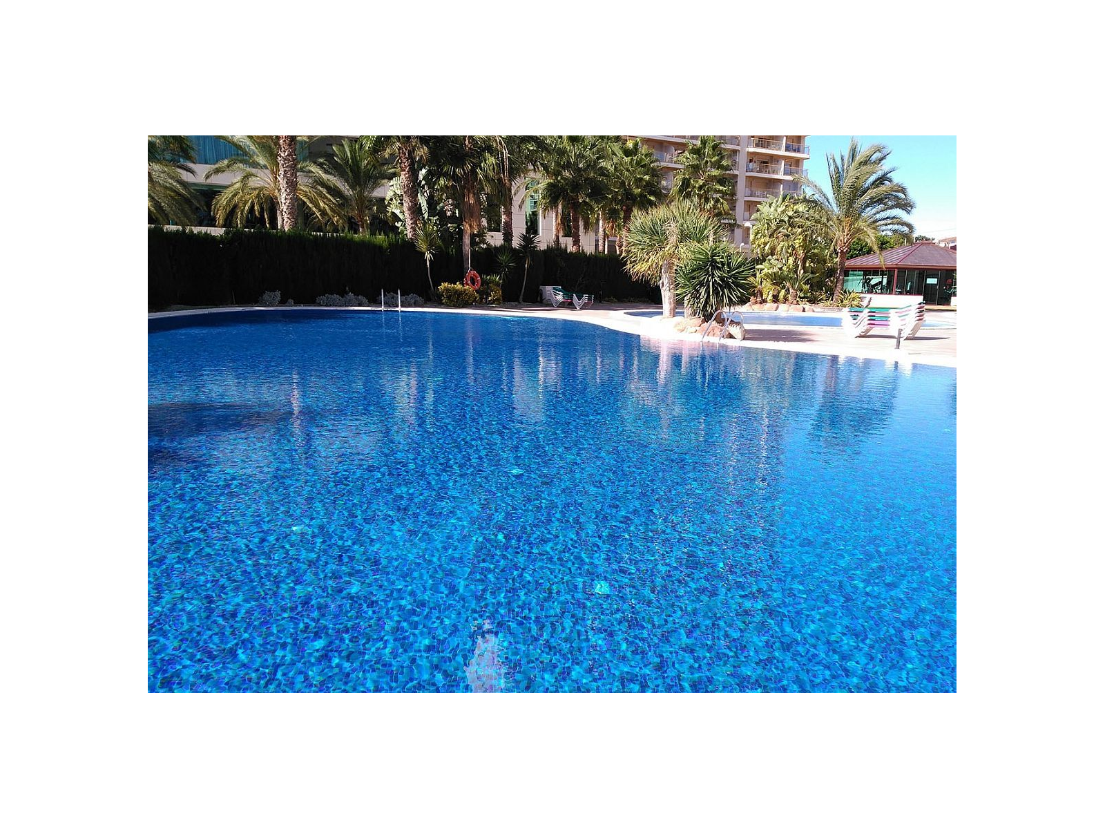 Topping Pecans 2,5 31,2X49,5