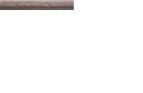 Torelo Livorno Cotto 20x2,5
