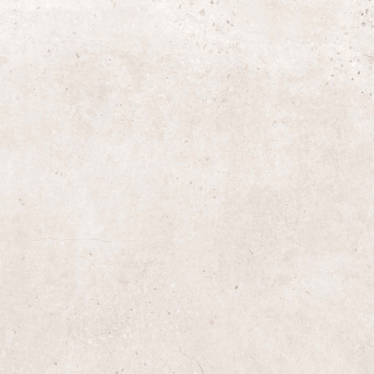 Tortona Bone   60X60