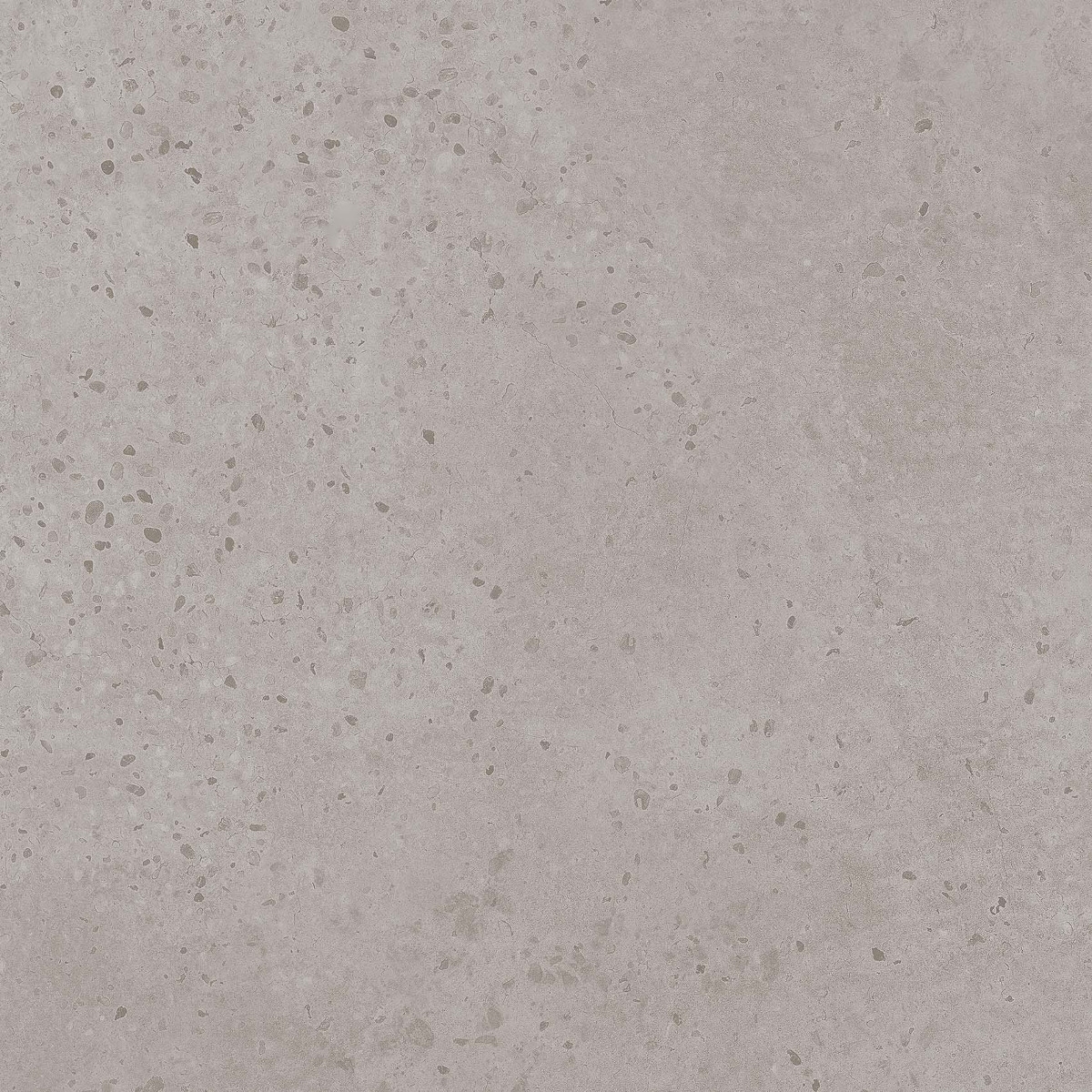 Tortona Plomo   60X60