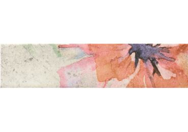 Tropic 6X25