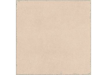 Valencia Coral 20x20