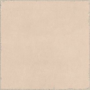 Valencia Coral 20x20