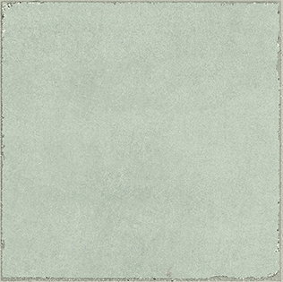 Valencia Salvia 20x20