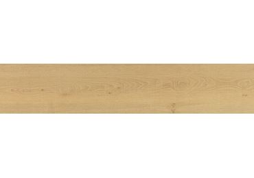 Vancouver Honey Ant 23X150