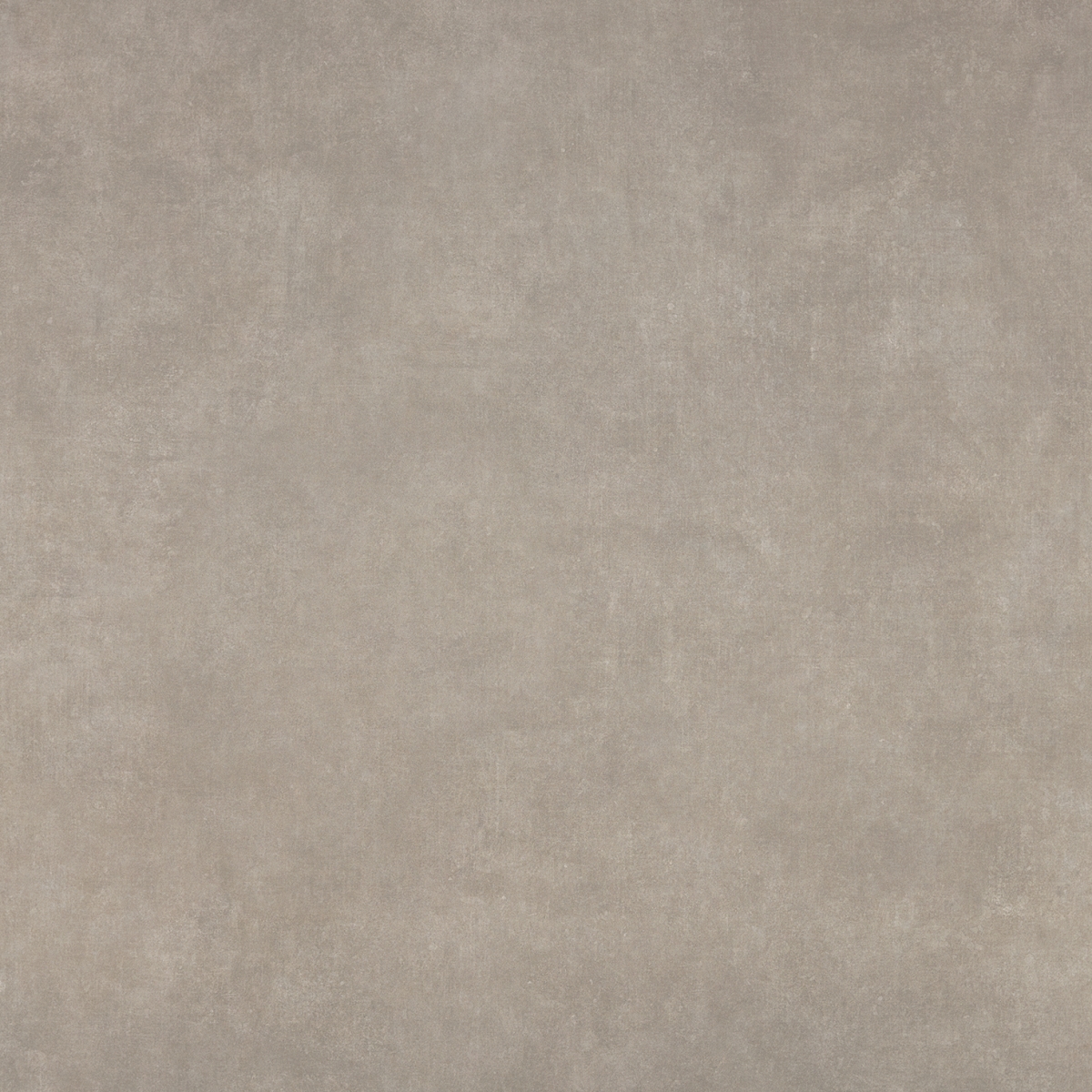 Vanguard Gris Ant. 75X75
