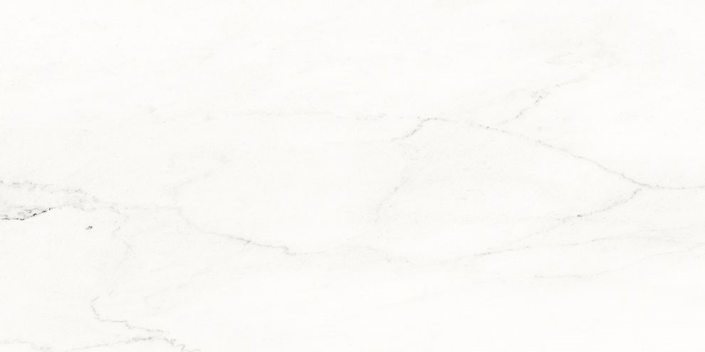 Vein Bílá 30 X 60