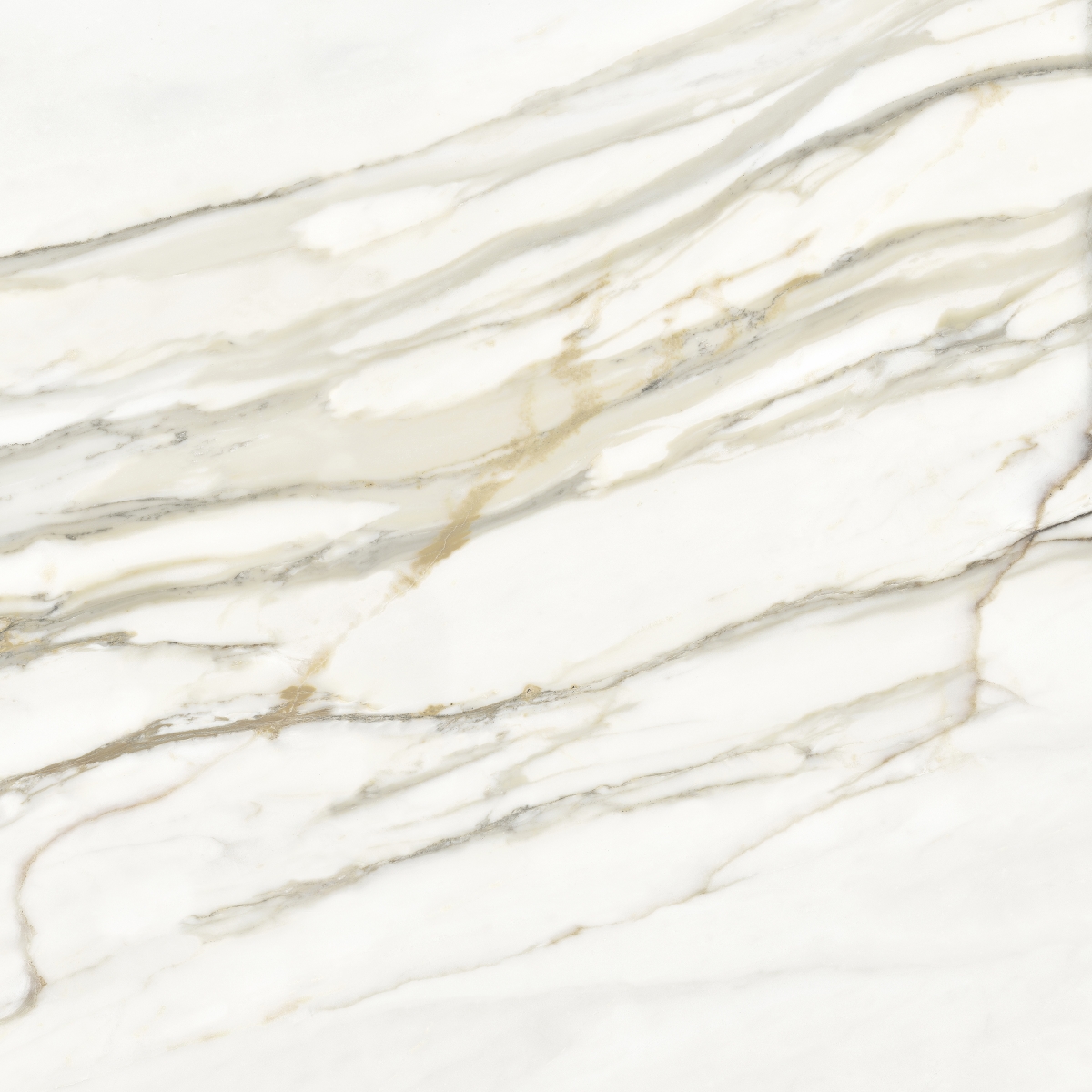 Venato Gold Silk 120X120