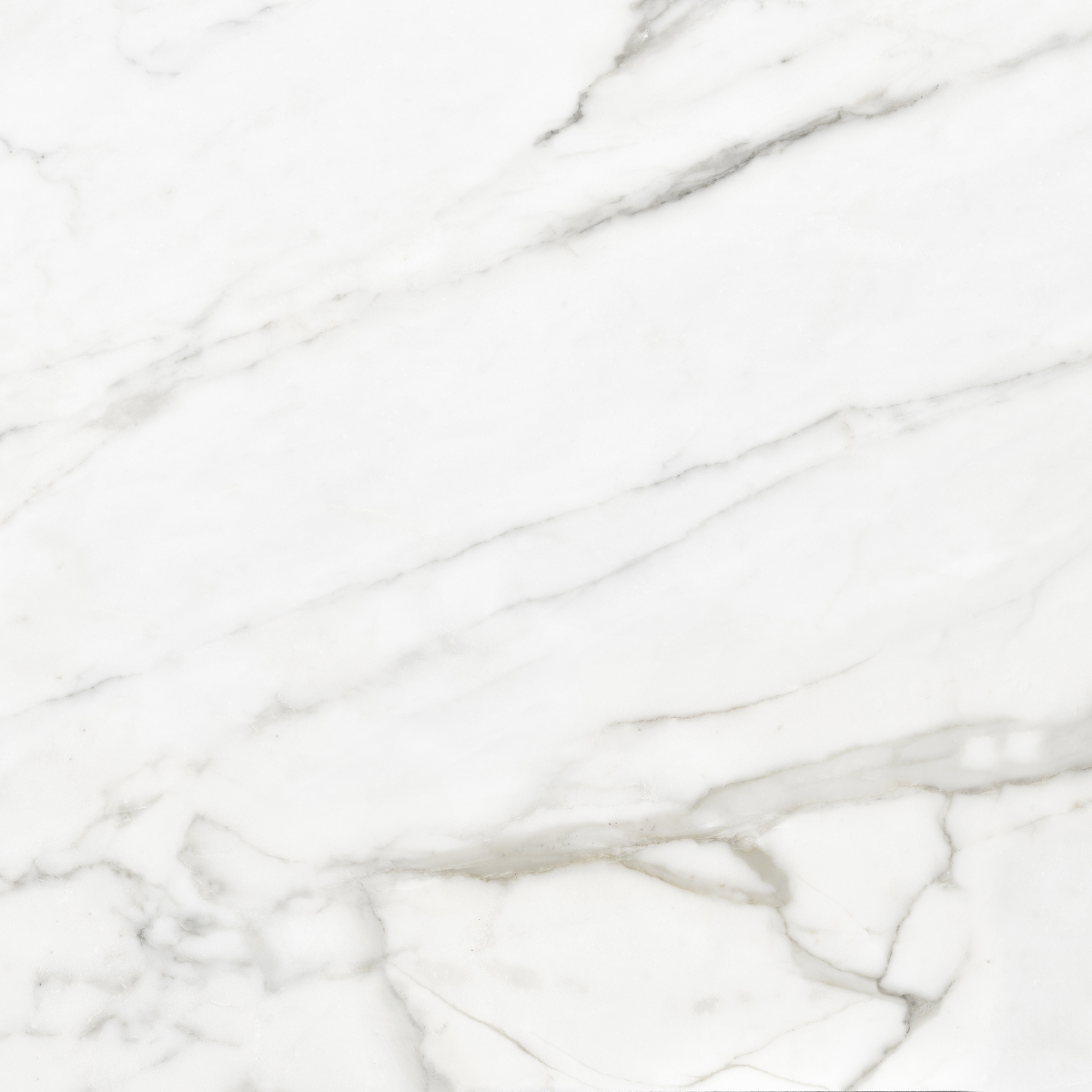 Venato Natural  120X120