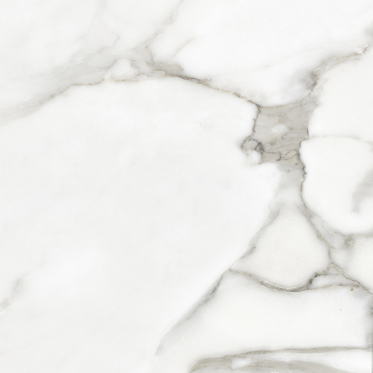Venato Natural Silk 60X60