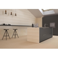 Venezia Petra Gris 20X60