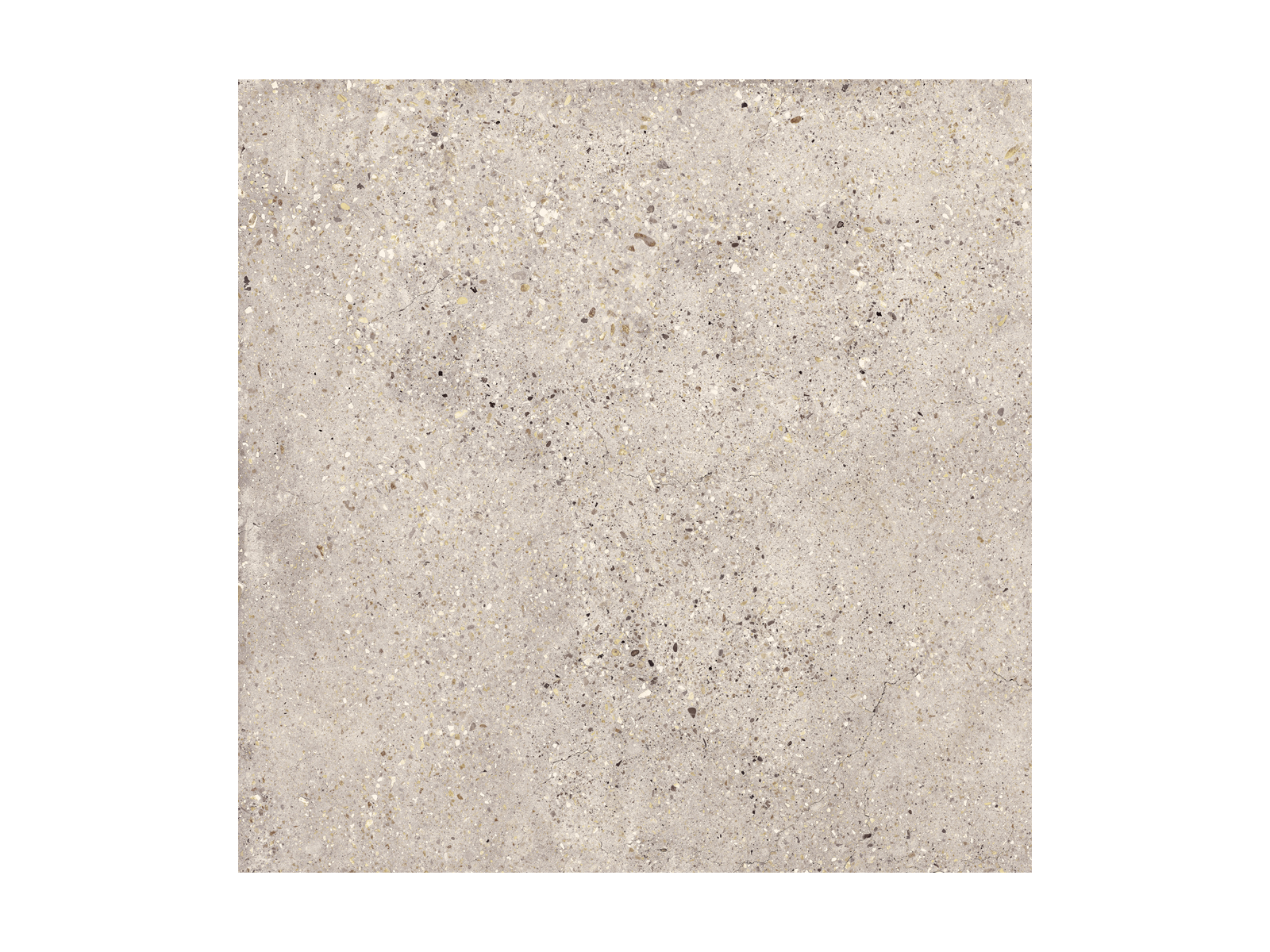 Wind Ivory Natural 100x100