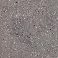 Wind Moss Natural 60x60