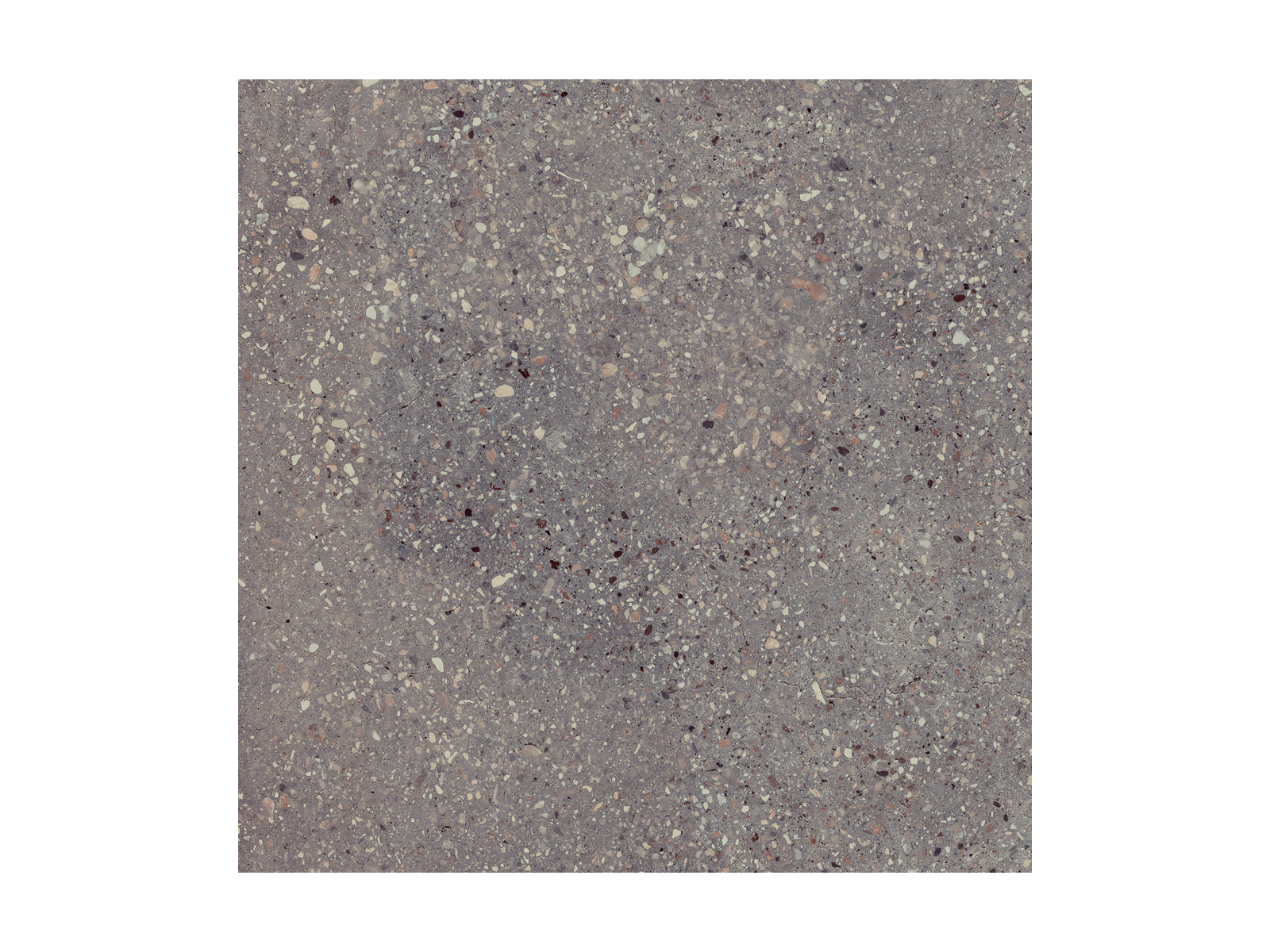 Wind Moss Natural 60x60