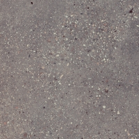 Wind Moss Natural 60x60