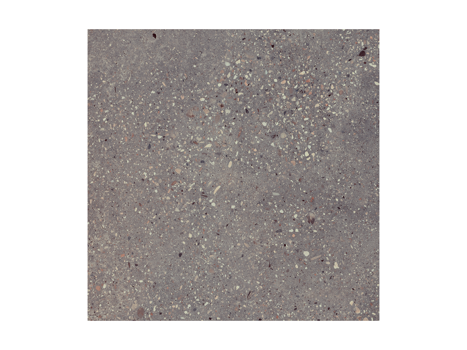 Wind Moss Natural 60x60