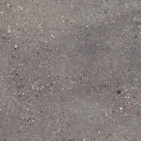 Wind Moss Natural 60x60