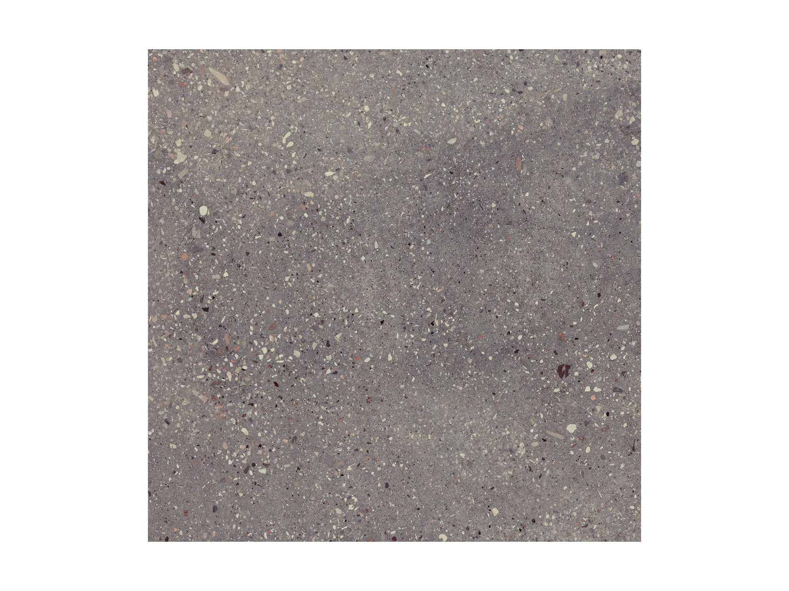 Wind Moss Natural 60x60