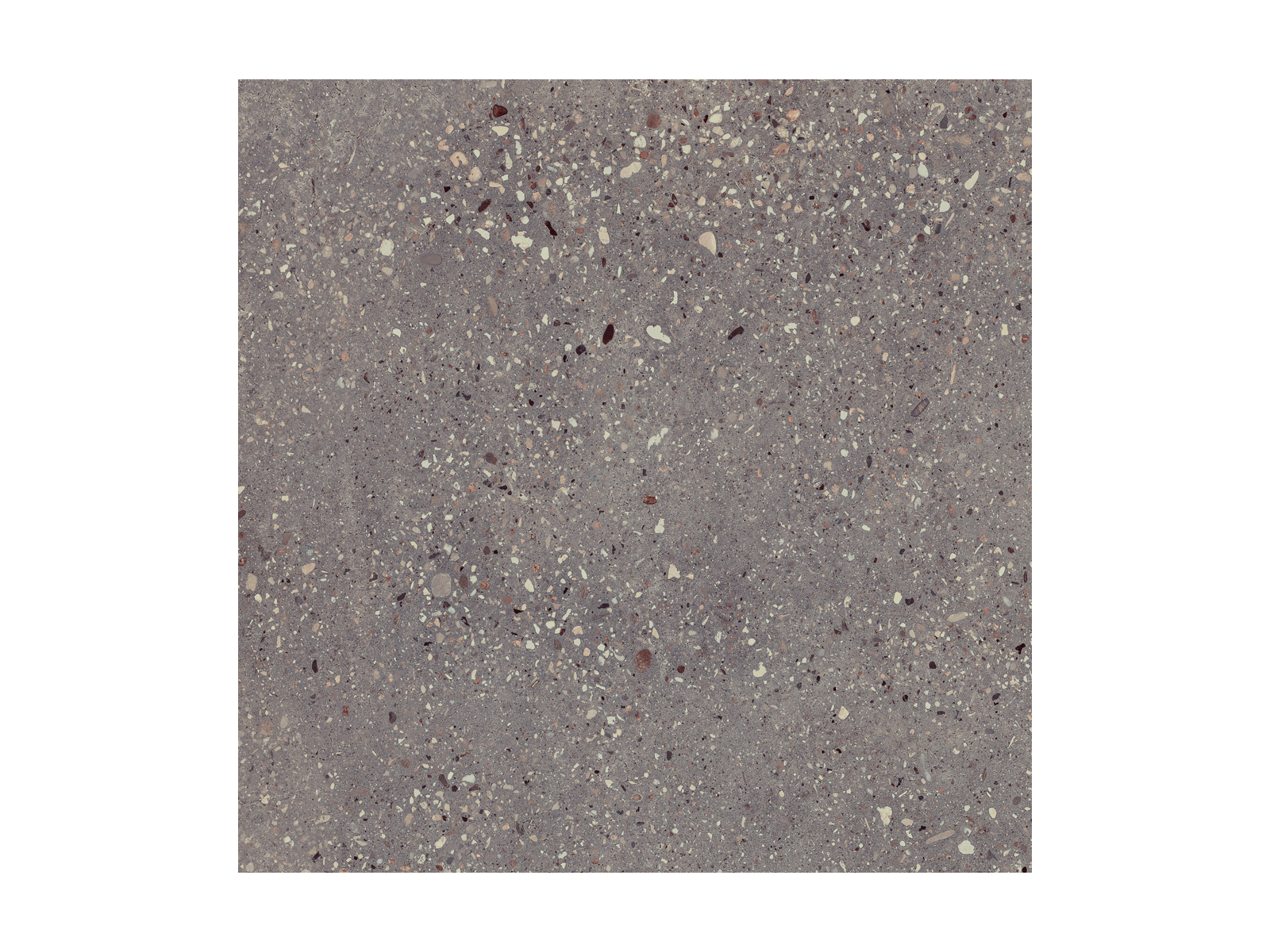 Wind Moss Natural 60x60
