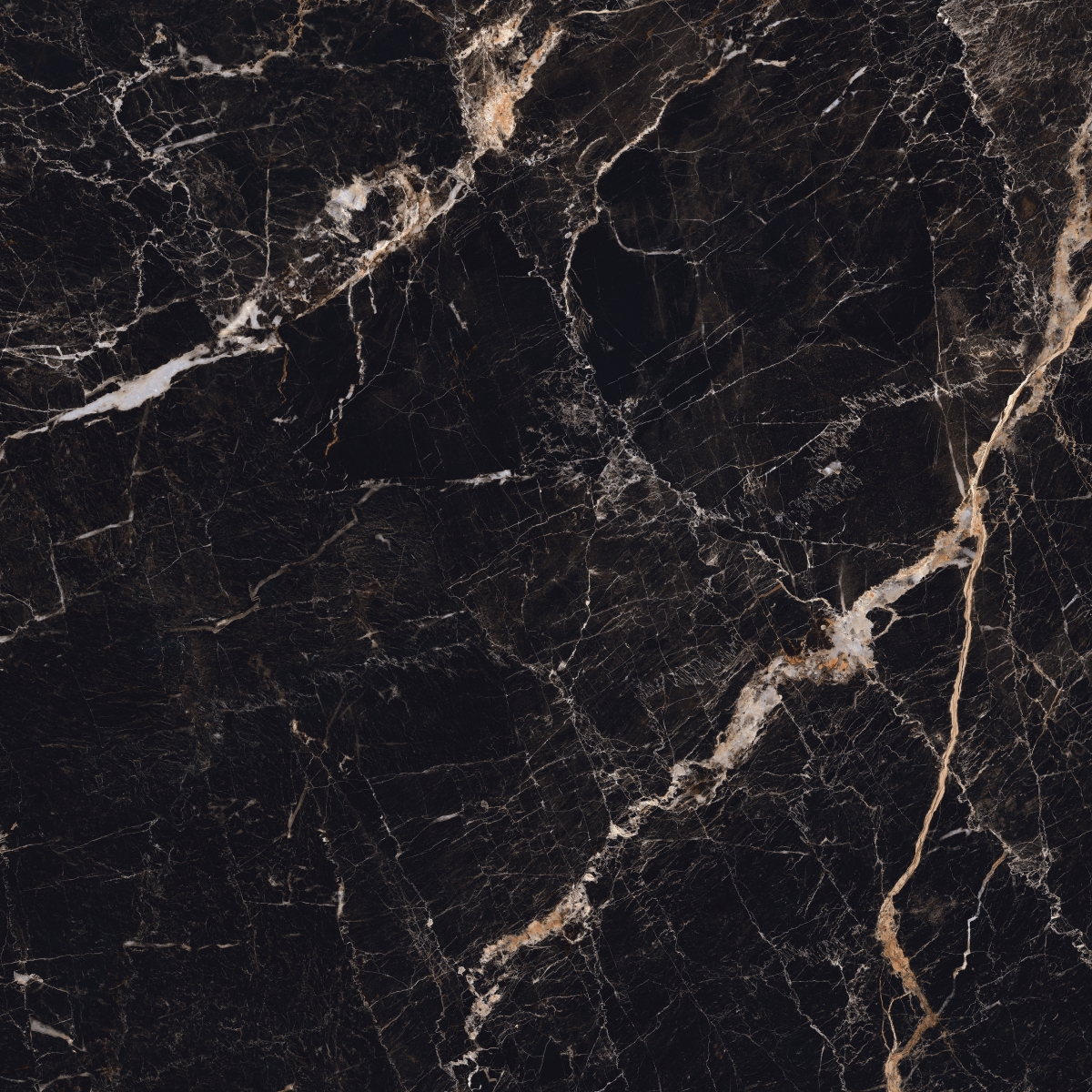 Windsor Black  Nplus 120X120