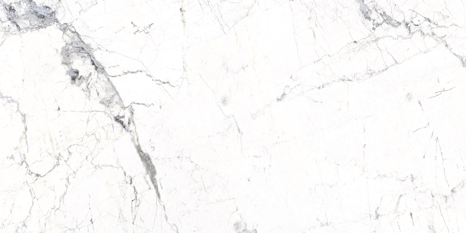 Windsor White   60X120