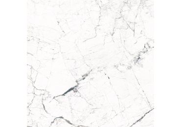 Windsor White  Sshine 120X120
