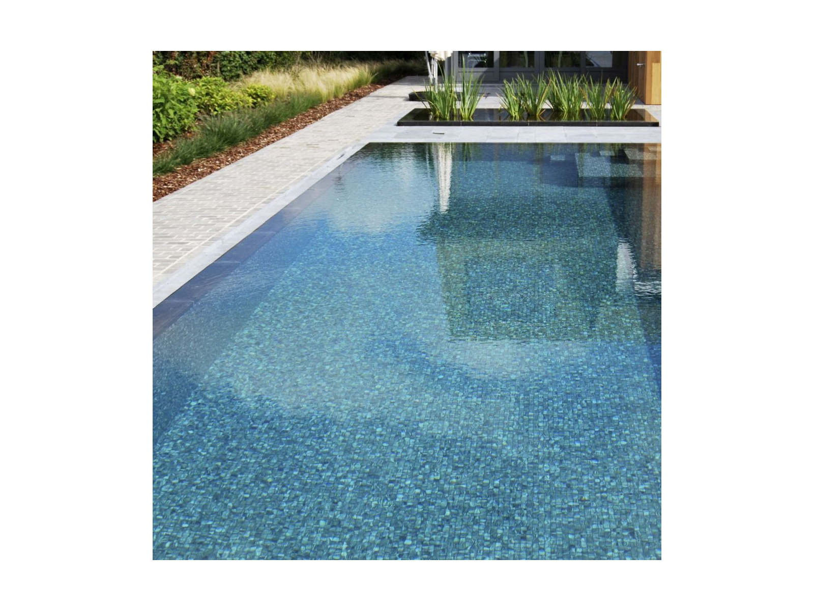 Zen Tigrato 2,5 31,2X49,5