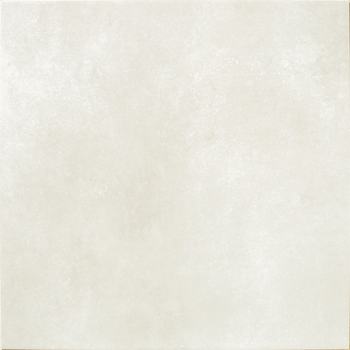 Zeus Bone  60X60