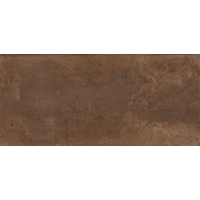 Zinc Copper Natural 119,3x260